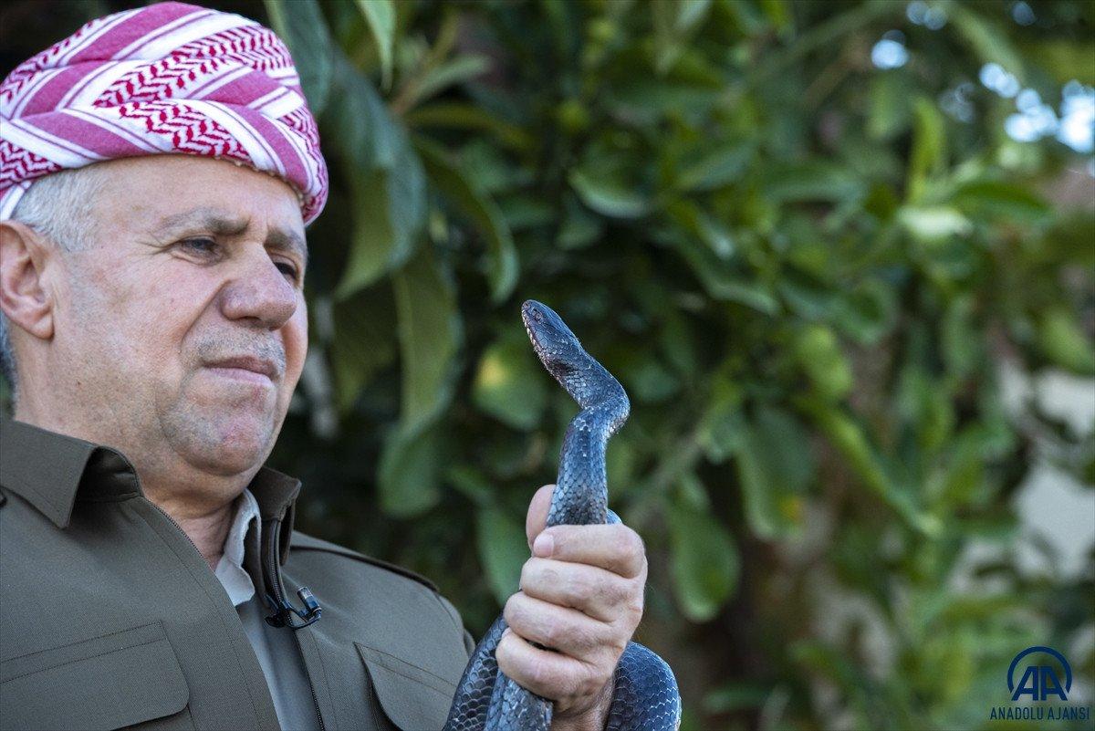 Evinde 60 yılan besliyor: Amacım onları ölümden kurtarmak