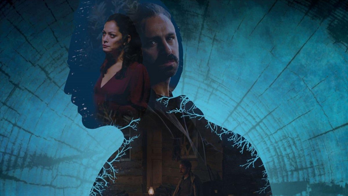 ABD'den en iyi film ödülü Ceviz Ağacı'na geldi