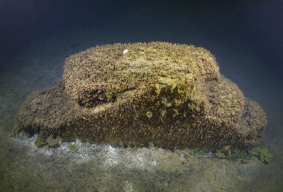Marmara Depremi'nde oluşan batık şehrin son hali