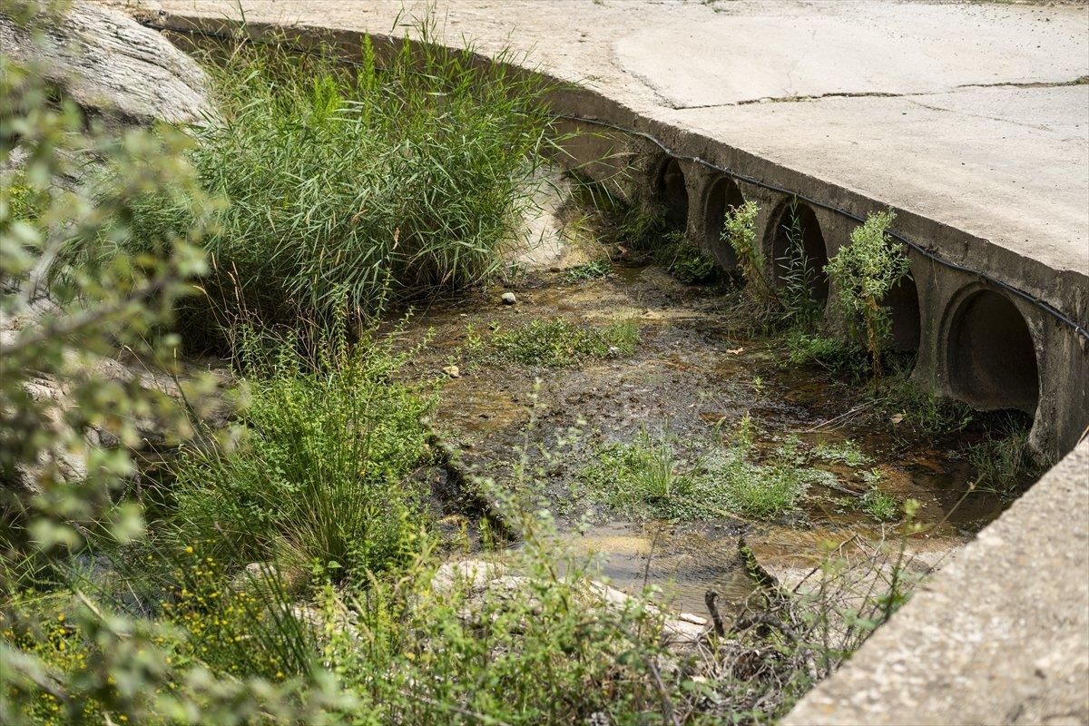 İspanya'da kuraklık sorunu derinleşiyor