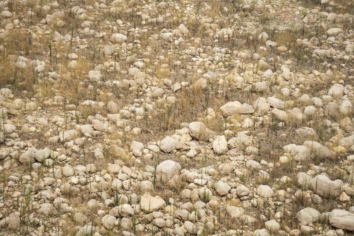 İspanya'da kuraklık sorunu derinleşiyor