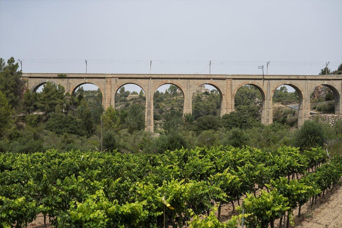 İspanya'da kuraklık sorunu derinleşiyor
