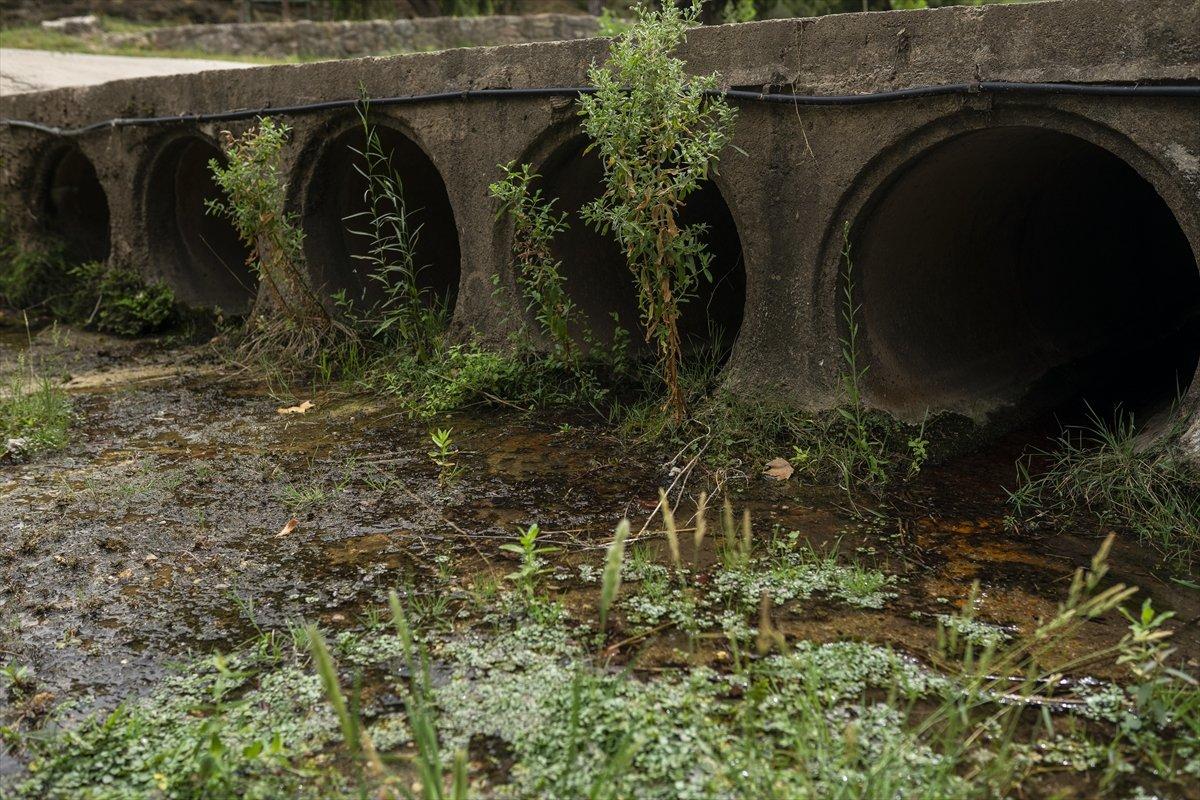 İspanya'da kuraklık sorunu derinleşiyor