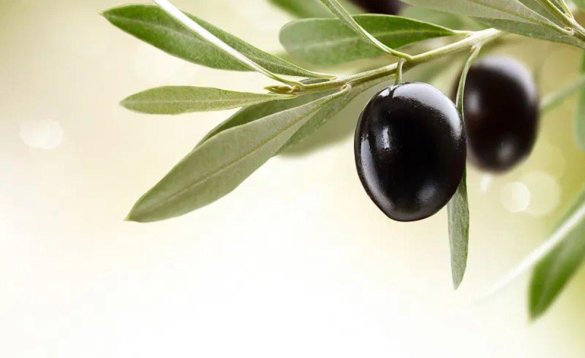 Baş ağrısını tetikleyen 12 gıda