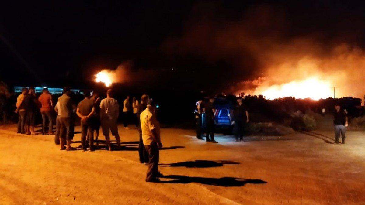 Aydın Söke’de orman yangını