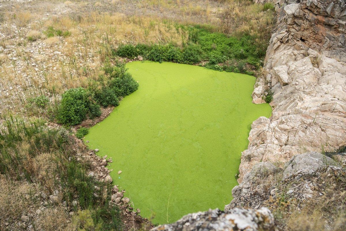 İspanya'da kuraklık sorunu derinleşiyor