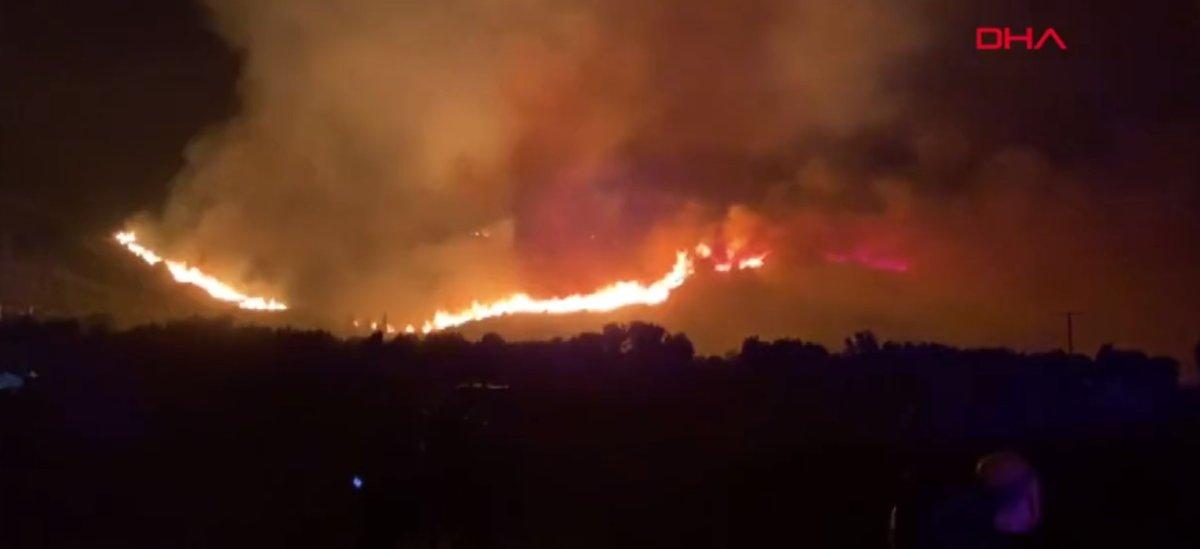 Aydın Söke’de orman yangını