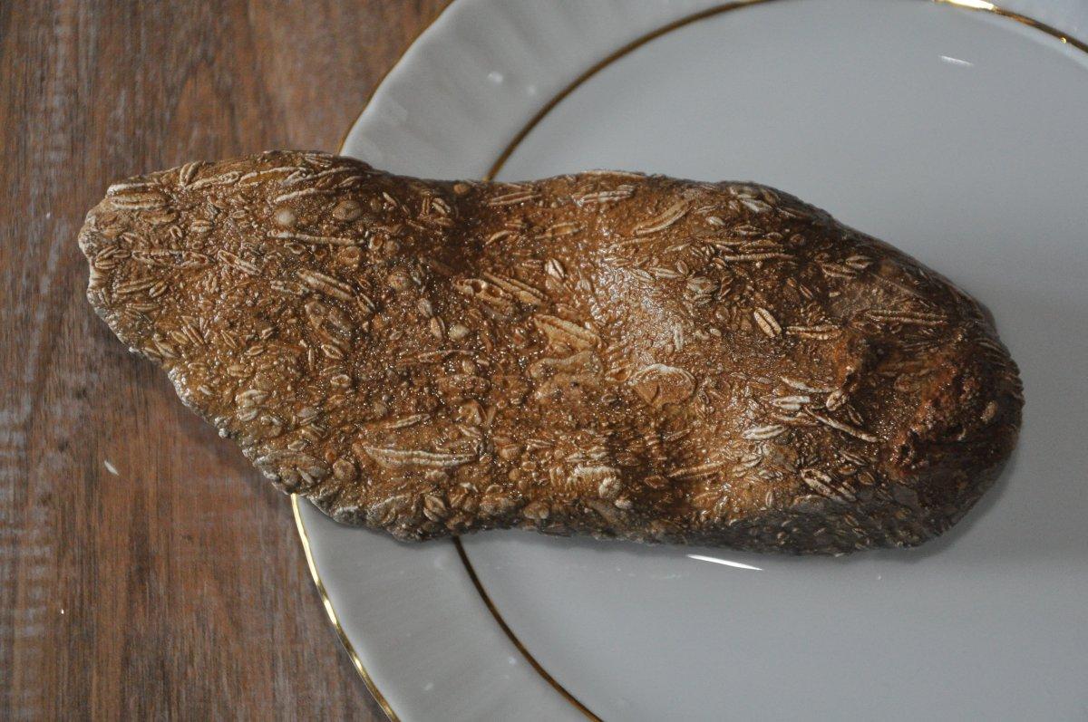 Şırnak’ta, milyonlarca yıllık olduğu tahmin edilen buğday fosili bulundu