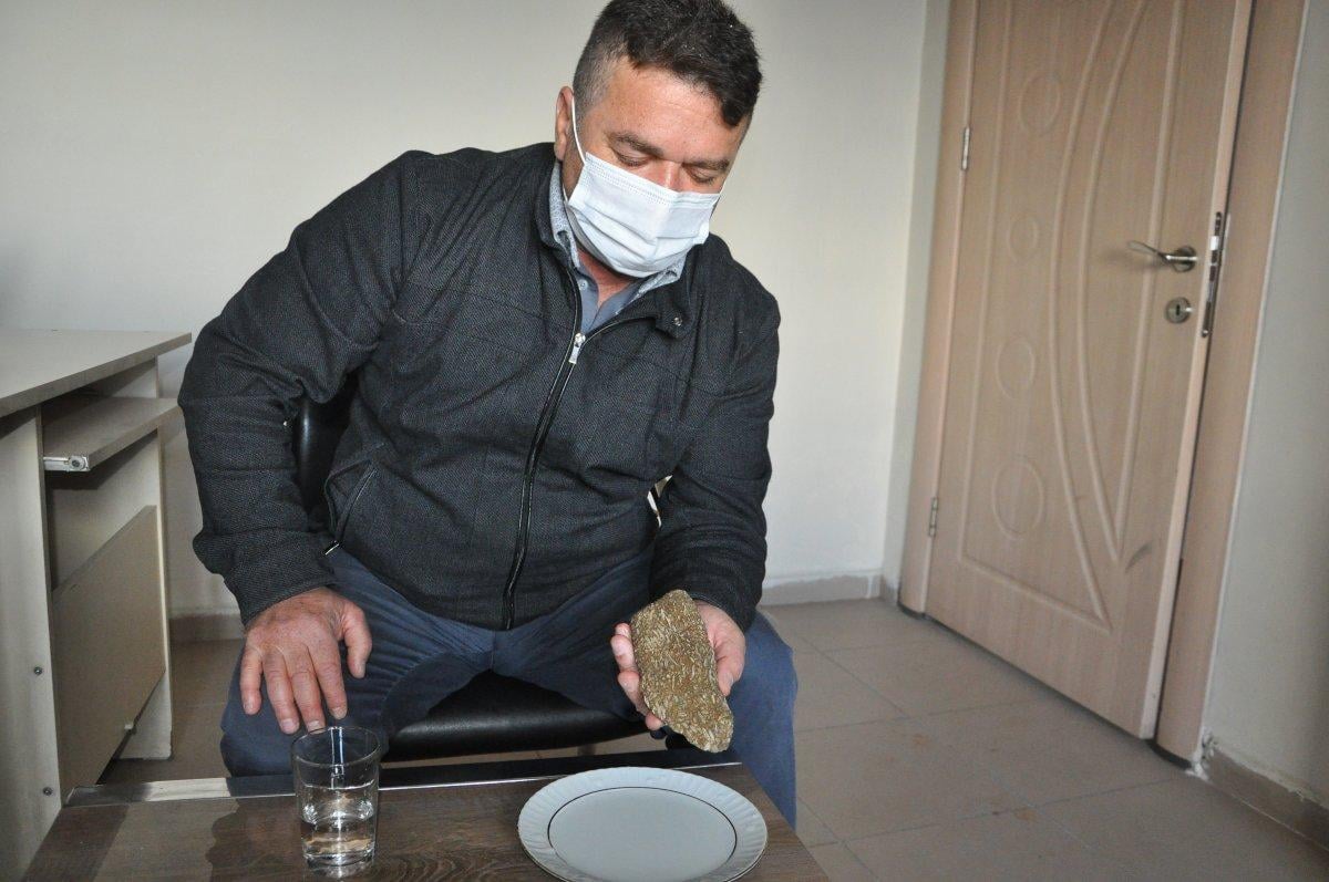 Şırnak’ta, milyonlarca yıllık olduğu tahmin edilen buğday fosili bulundu