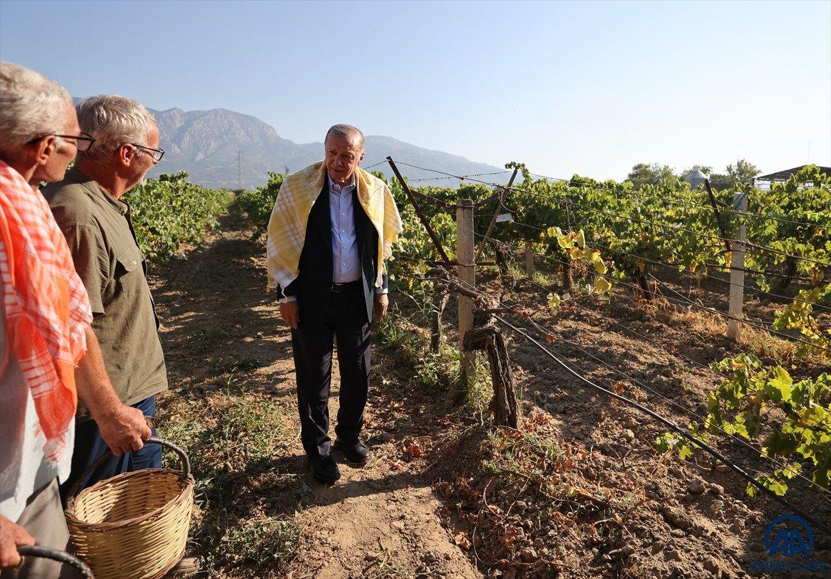 Cumhurbaşkanı Erdoğan, kuru üzüm taban fiyatını açıkladı