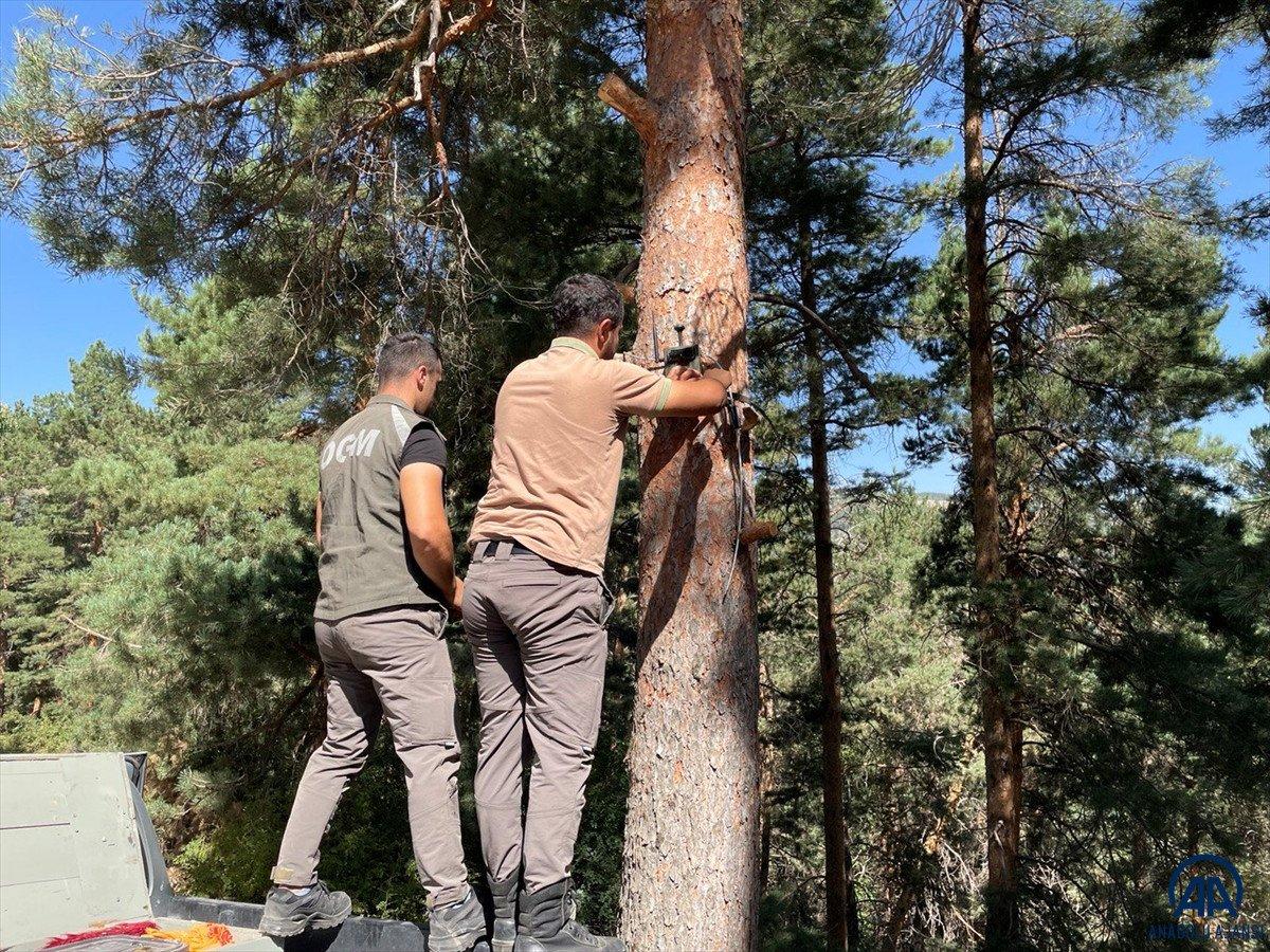 Kars'ta ormanlar yapay zeka fotokapanlarla korunuyor