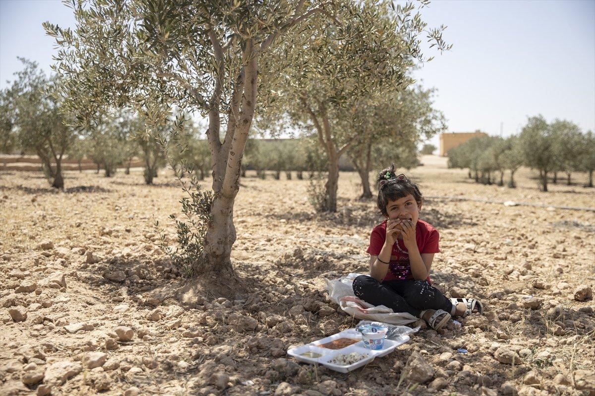 Kahraman Mehmetçik'ten Barış Pınarı bölgesine insani yardım faaliyetleri