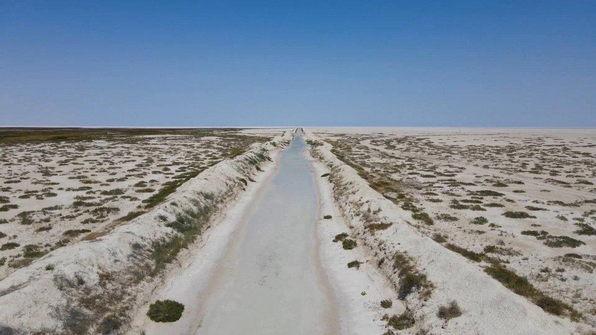 Tuz Gölü'ne borularla su taşındı, flamingolar canlandı