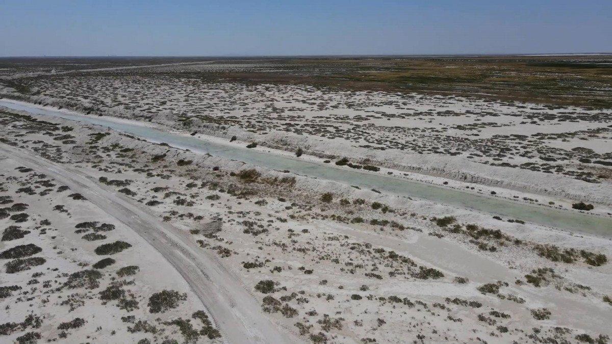 Tuz Gölü'ne borularla su taşındı, flamingolar canlandı