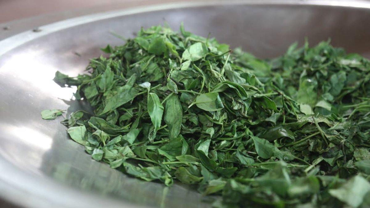 CNN International, Rize çayını yazdı