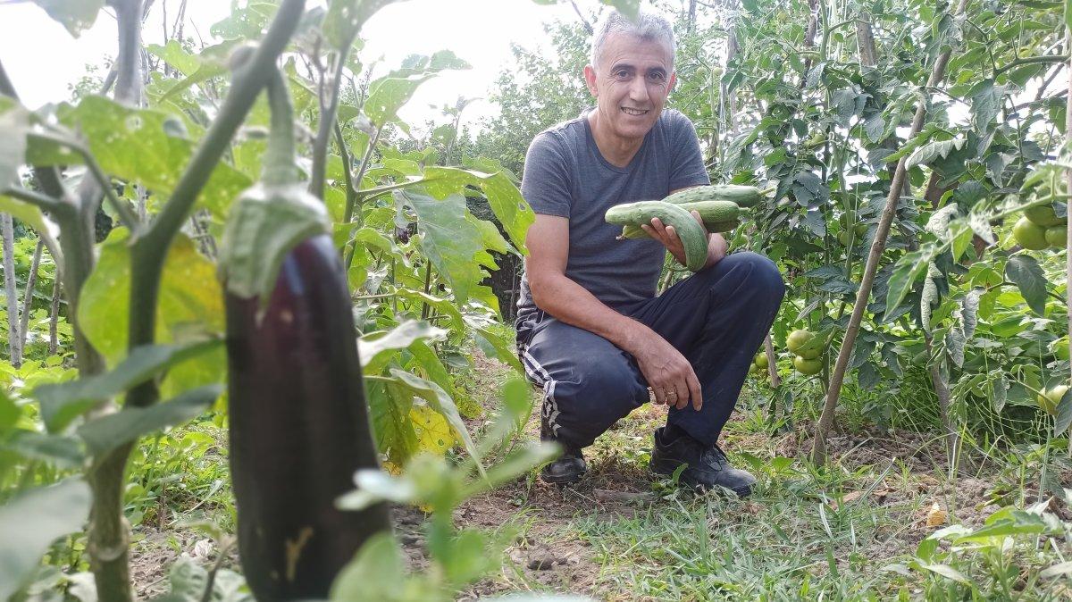 Milyonluk binaların arasına hobi bahçesi kurdu