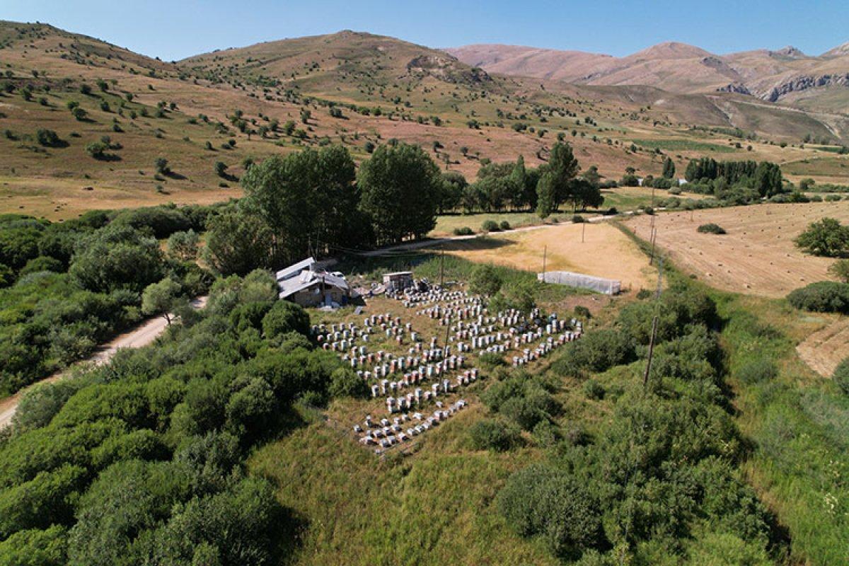 Bayburt'ta görme engelli adam, 37 yıldır arıcılık mesleğini sürdürüyor