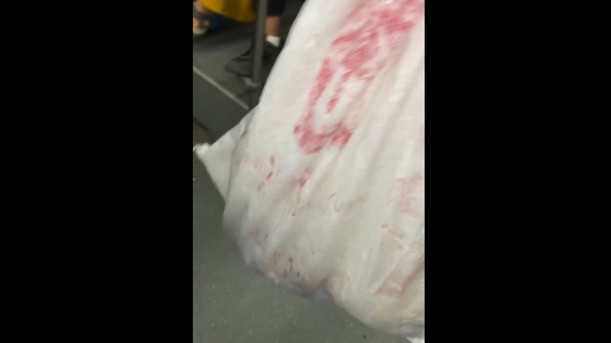 Diyarbakır'da, otobüste kedi dolu çuvalla yolculuk yapan kadına tepki