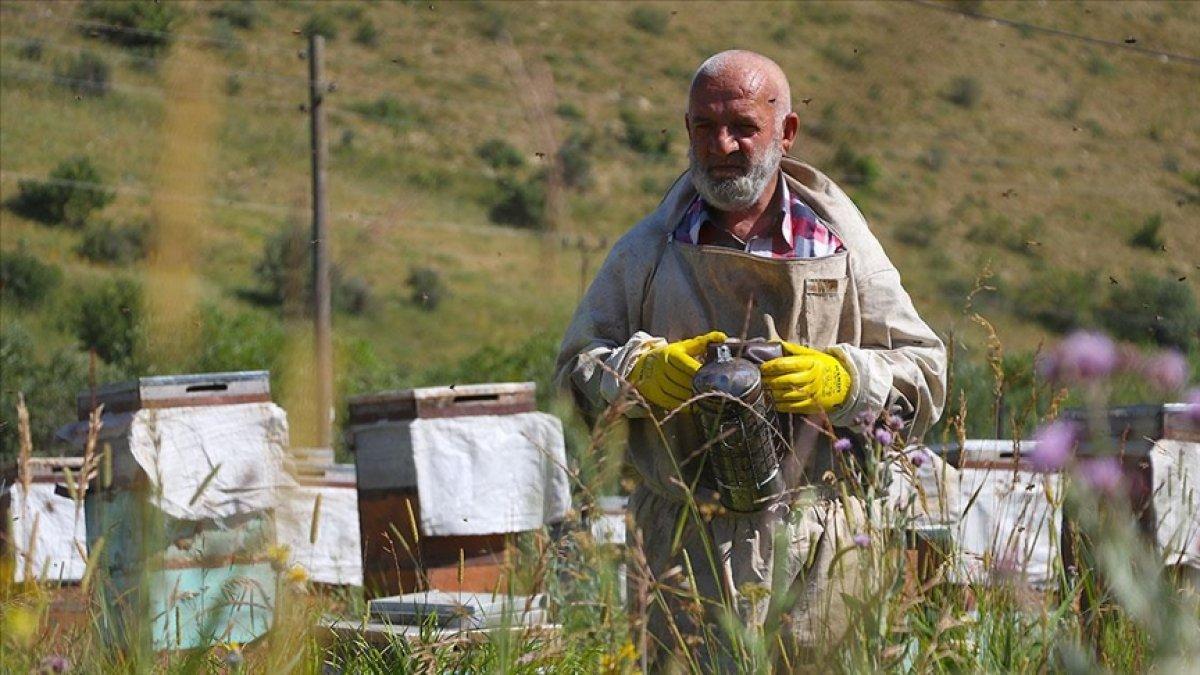Bayburt'ta görme engelli adam, 37 yıldır arıcılık mesleğini sürdürüyor