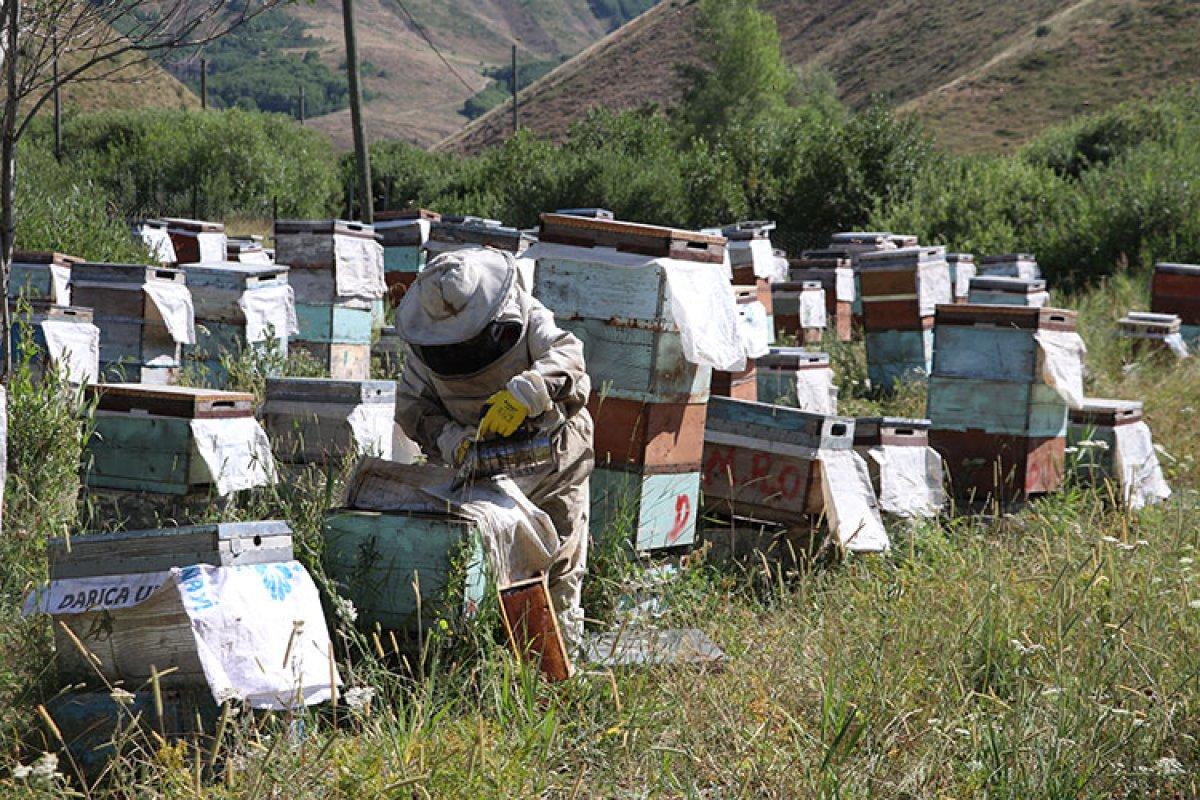 Bayburt'ta görme engelli adam, 37 yıldır arıcılık mesleğini sürdürüyor