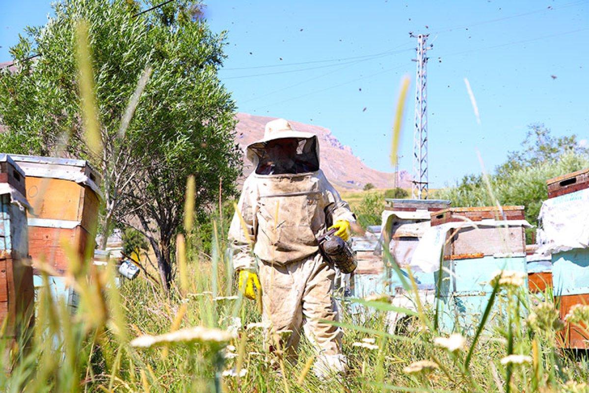Bayburt'ta görme engelli adam, 37 yıldır arıcılık mesleğini sürdürüyor