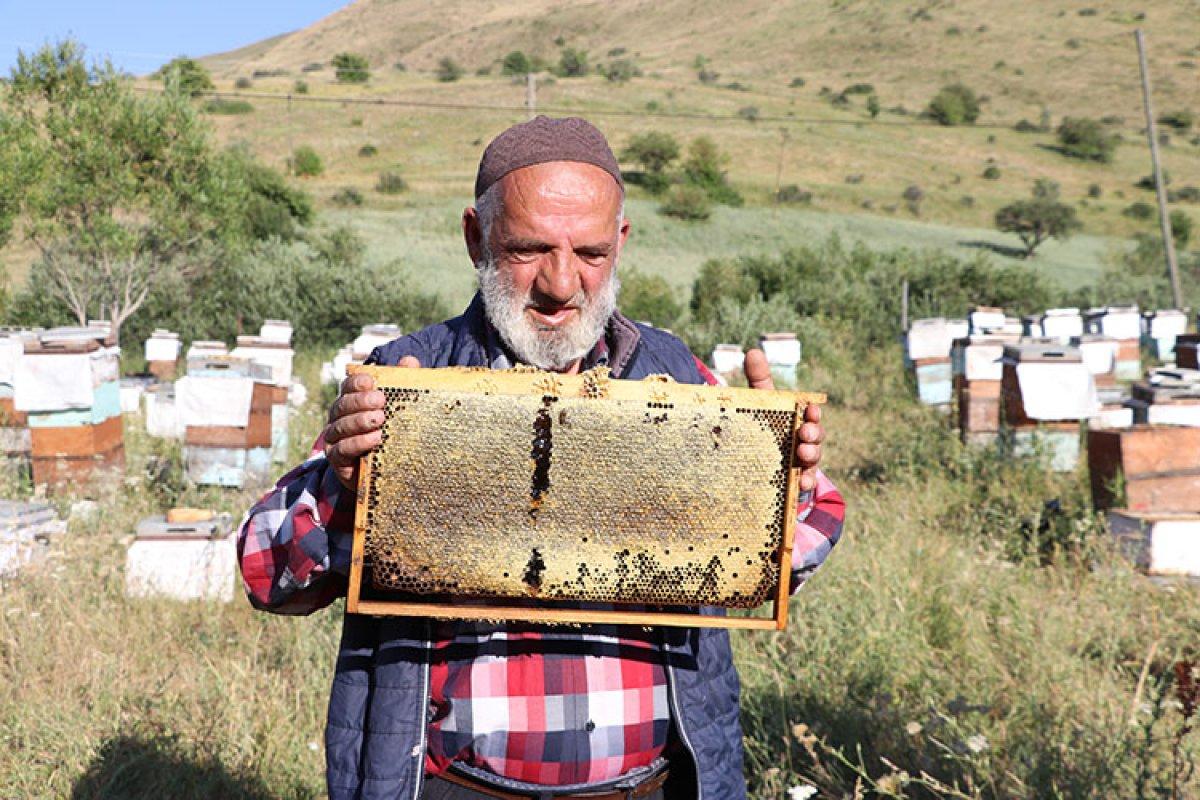 Bayburt'ta görme engelli adam, 37 yıldır arıcılık mesleğini sürdürüyor