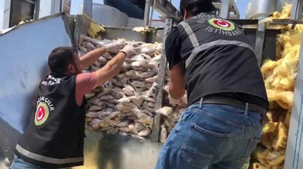 Captagon'da rekor: 12,3 milyon adet ele geçirildi