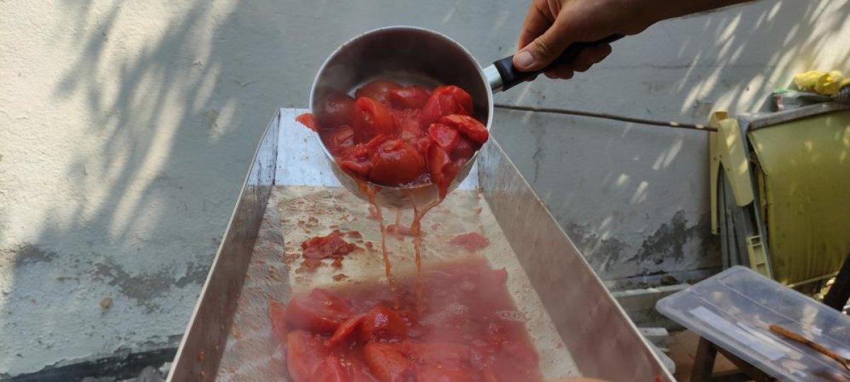 Bursa'da her gün ev ev gezip 5 ton domates çekiyor