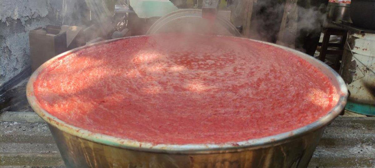 Bursa'da her gün ev ev gezip 5 ton domates çekiyor