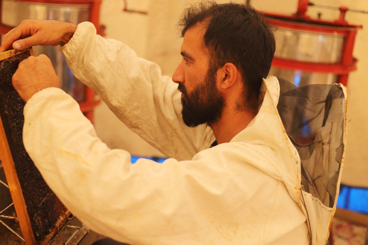 Süphan Dağı'nın eteklerinde bal hasadı başladı