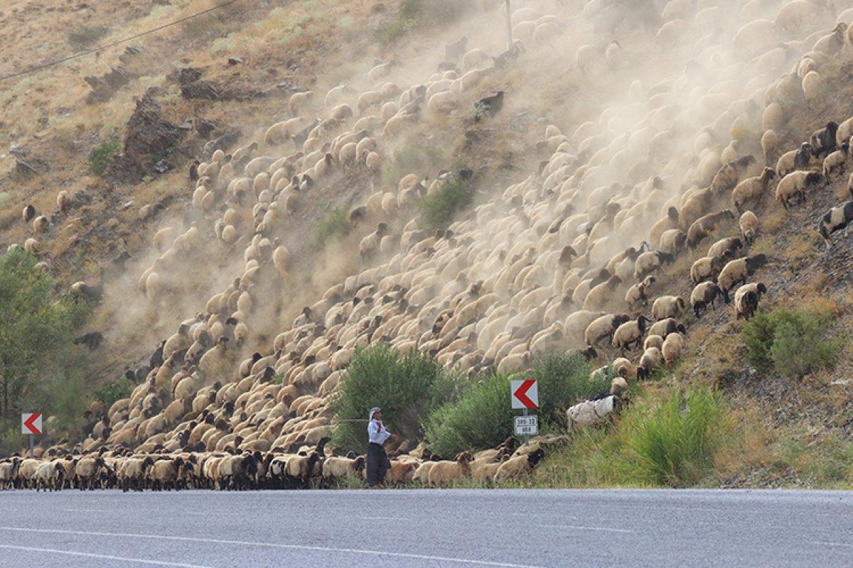 Yaylalarda konaklayan göçerlerin kış dönüşü başladı