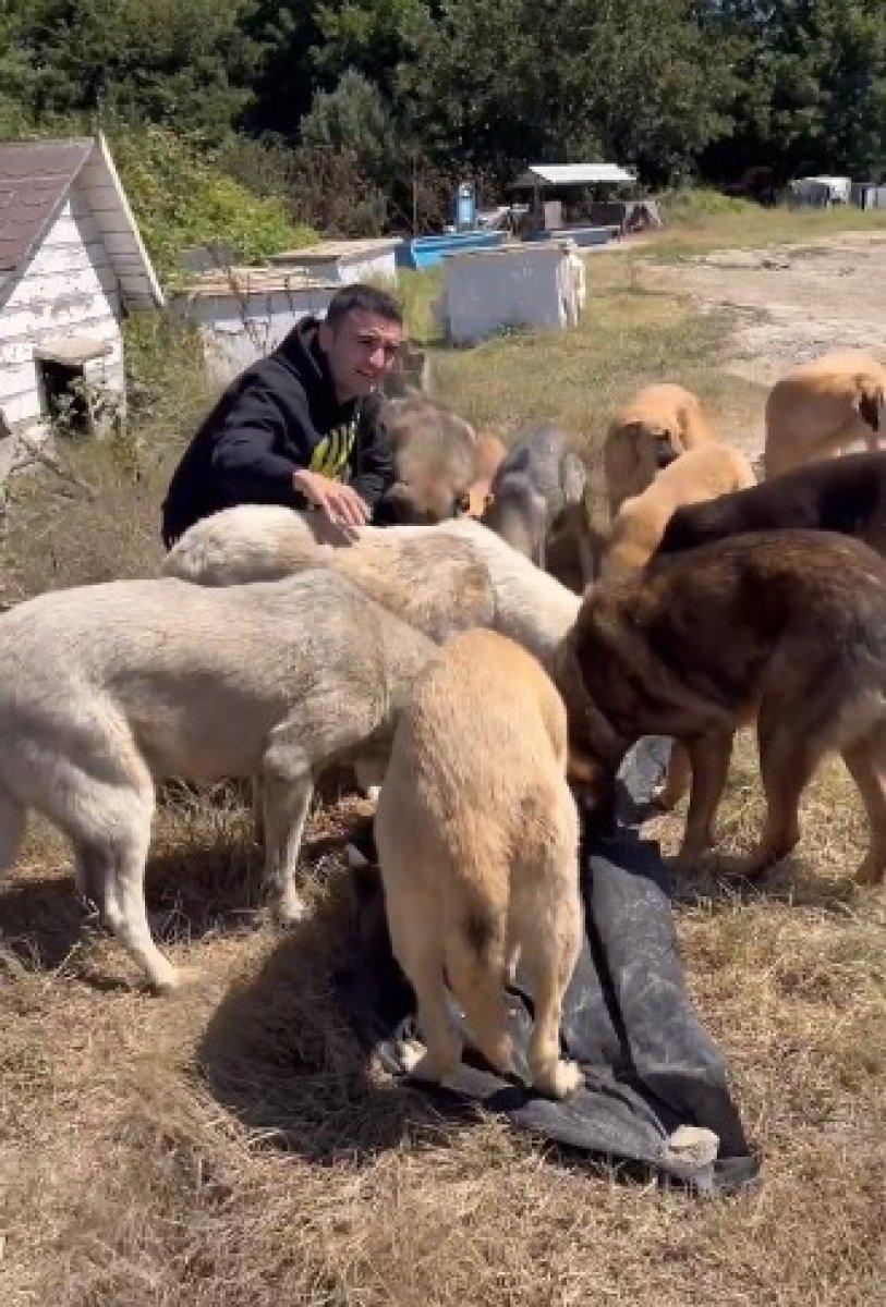 CZN Burak, sokak köpeklerini besledi