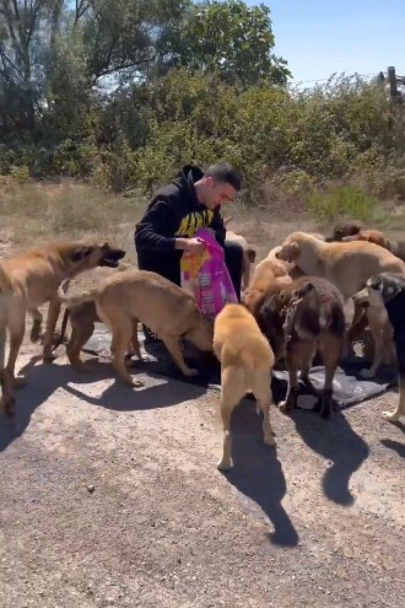 CZN Burak, sokak köpeklerini besledi