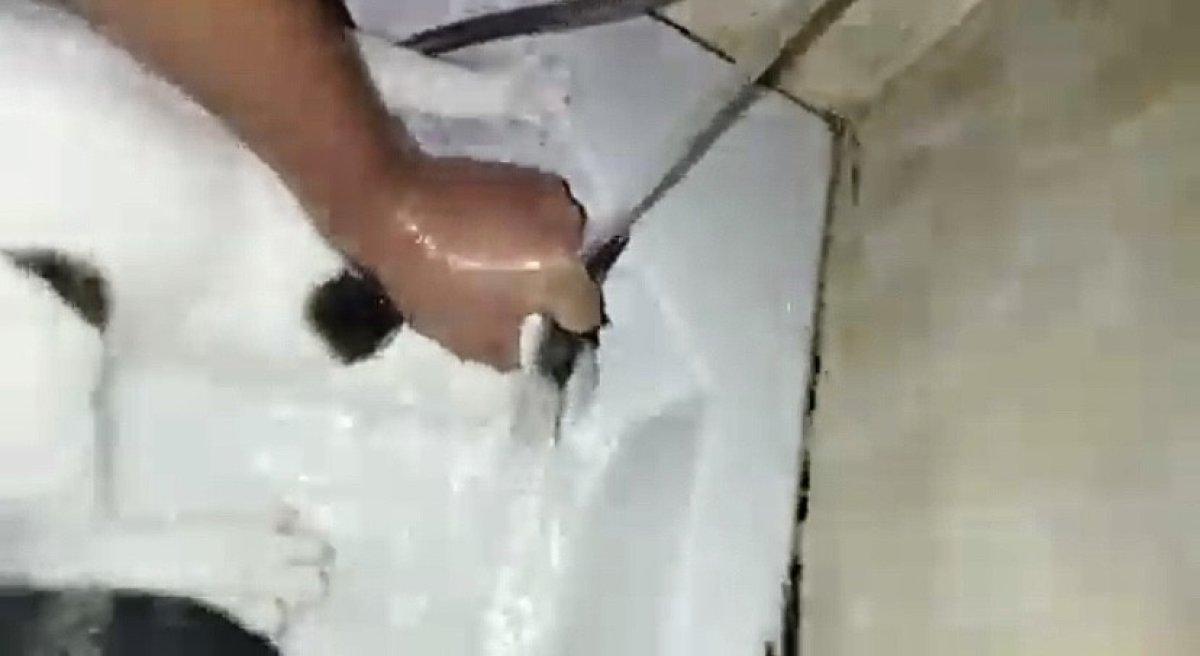 İstanbul'da kedisini boğmaya çalışıp duvara fırlattı