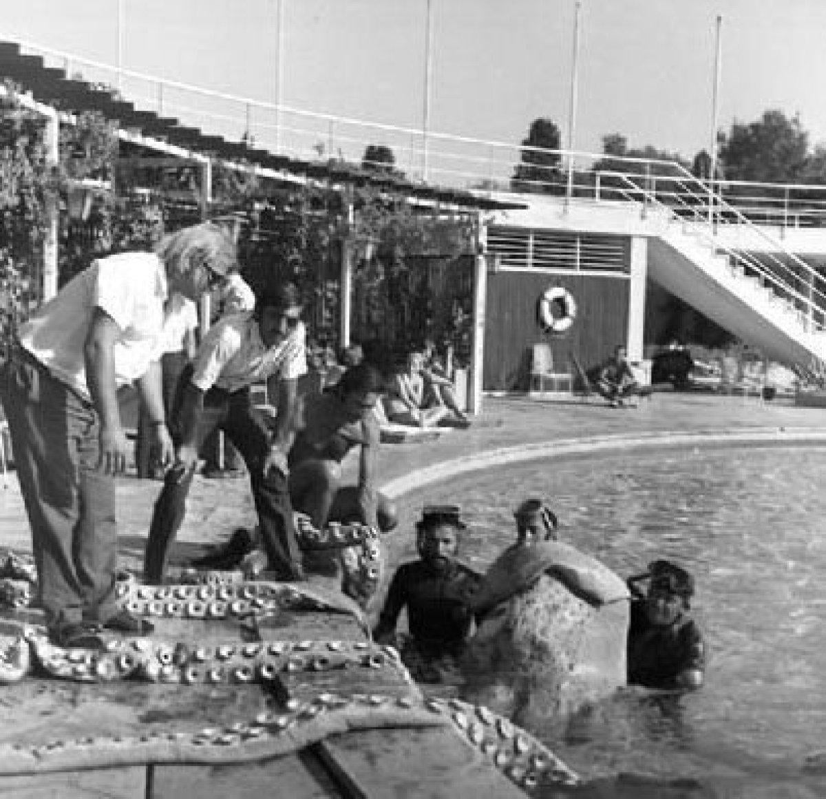 Vakanüvis, Yeşilçam'ın bilinmeyenlerini yazdı