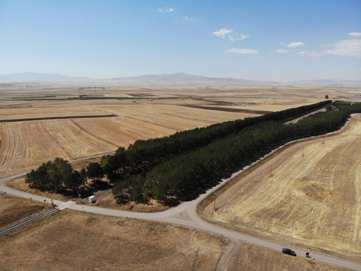 Kars’ta bozkırın ortasındaki ‘vaha’ büyülüyor