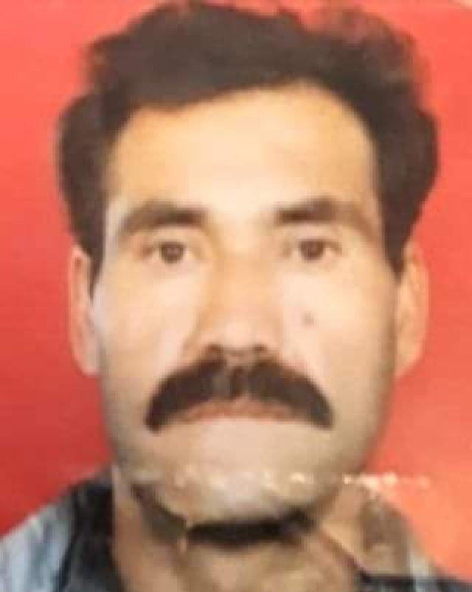 Denizli’de eşek otomobilin tepesine düştü, sürücü yaşamını yitirdi