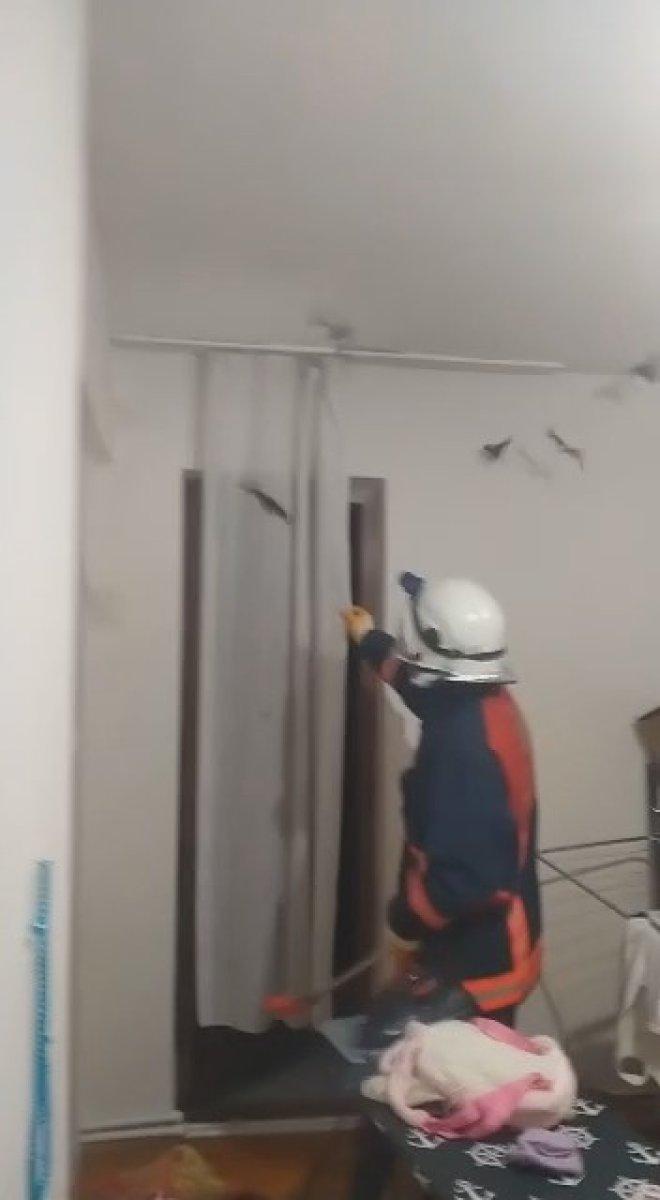 Gümüşhane'de eve giren yarasaları itfaiye çıkardı