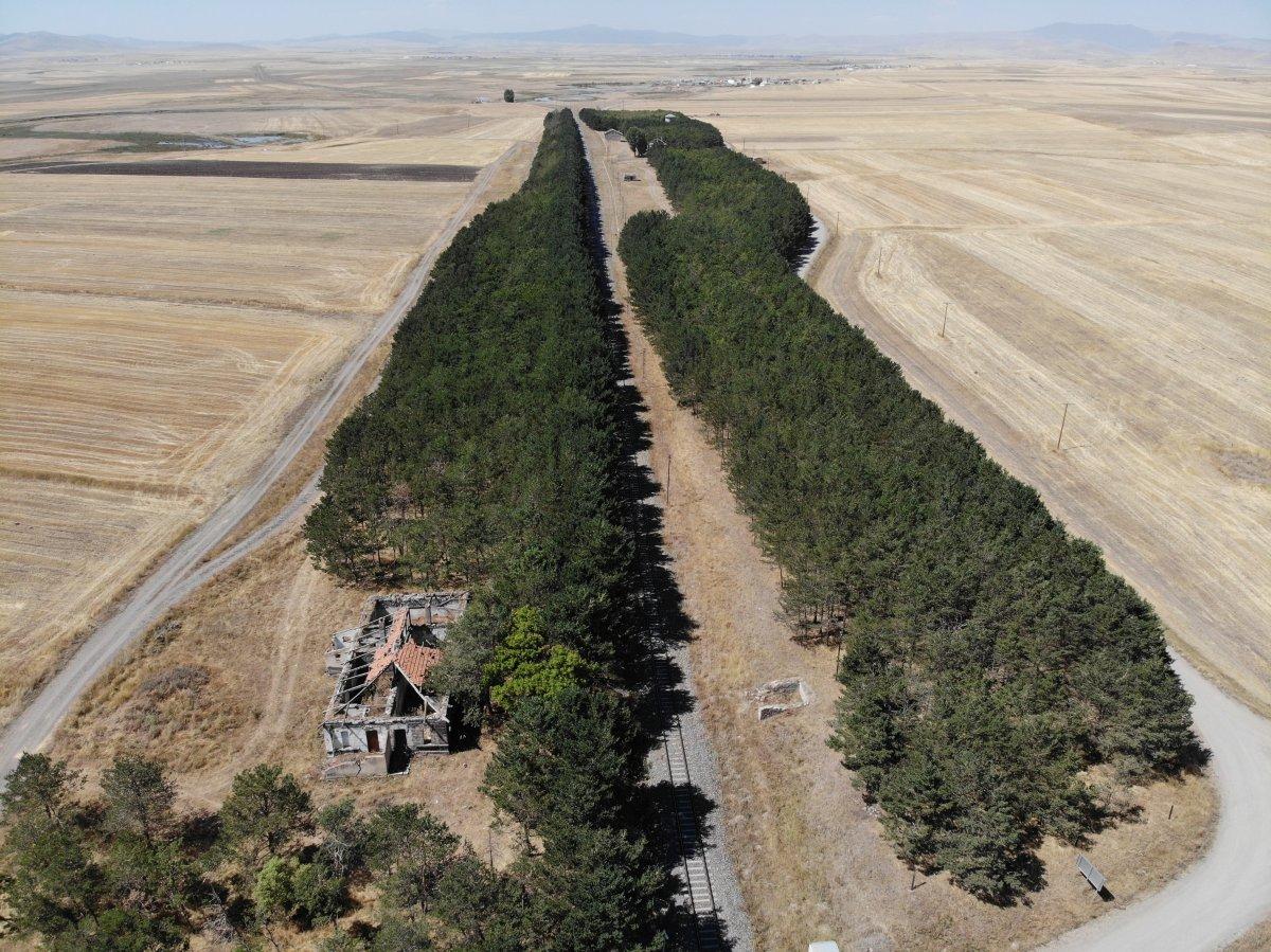 Kars’ta bozkırın ortasındaki ‘vaha’ büyülüyor