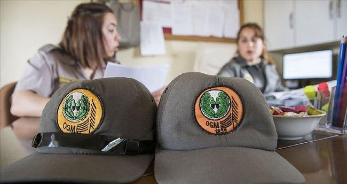 OGM 338 personel alımı yapacak! OGM personel alımı başvuru şartları nelerdir?