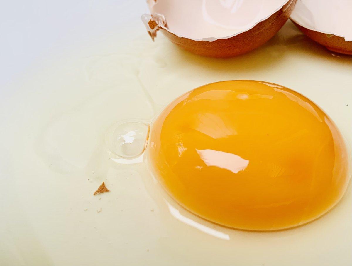 Hayvansal ve bitkisel proteinler arasındaki farklar