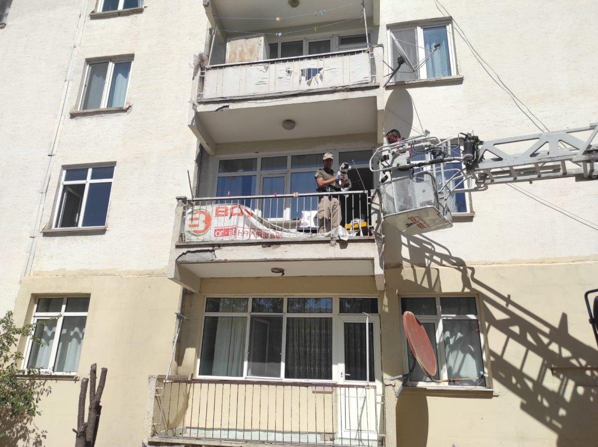 Kırşehir'de ölüme terk edilen köpek kurtarıldı