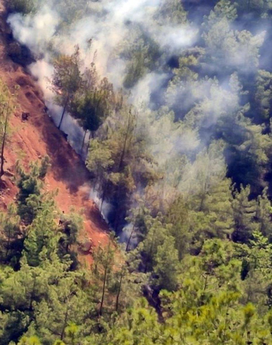 Hatay’da ormanlık alanda yangın