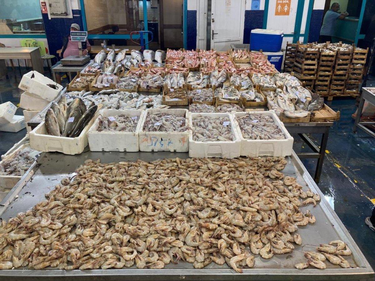 İzmir'de sabah saatlerinde avdan dönen balıkçıların tezgahları balıkla doldu