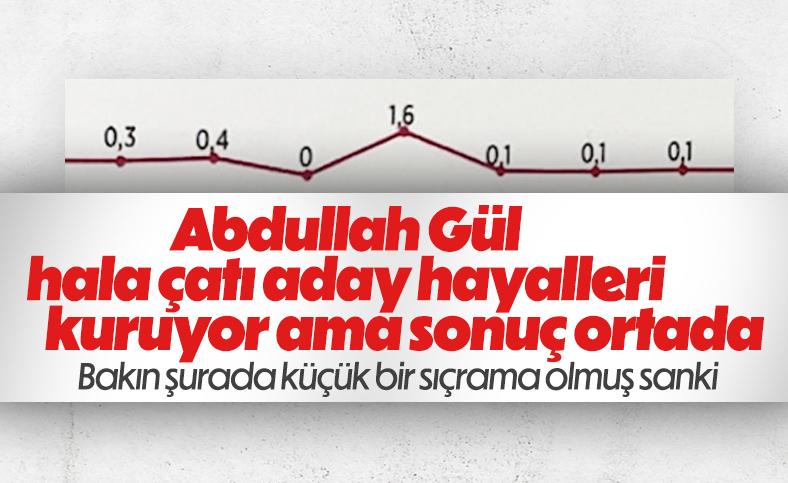Cumhurbaşkanı adaylığı isteyen Abdullah Gül'ün anketlerdeki oy oranı