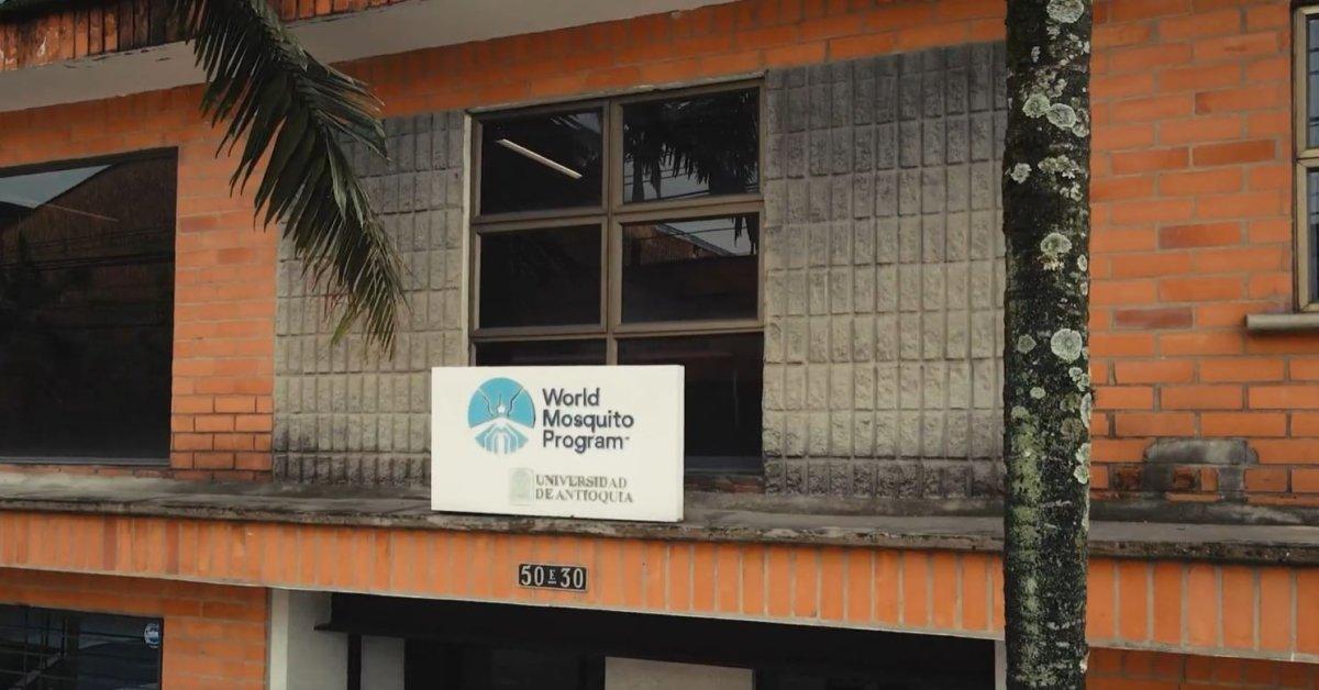 Bill Gates'in sivrisinek paylaşımı, yeni salgın iddialarına neden oldu