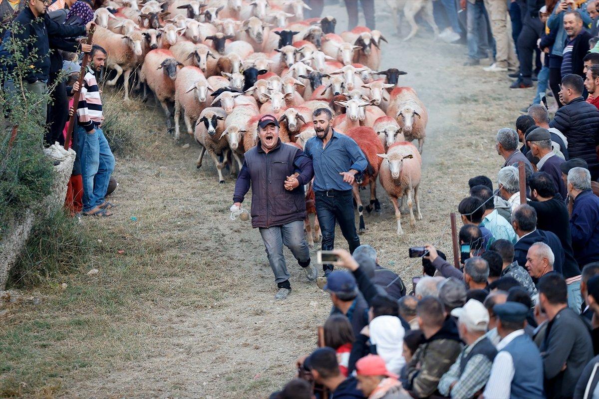 Burdur'da sudan koyun geçirme yarışması