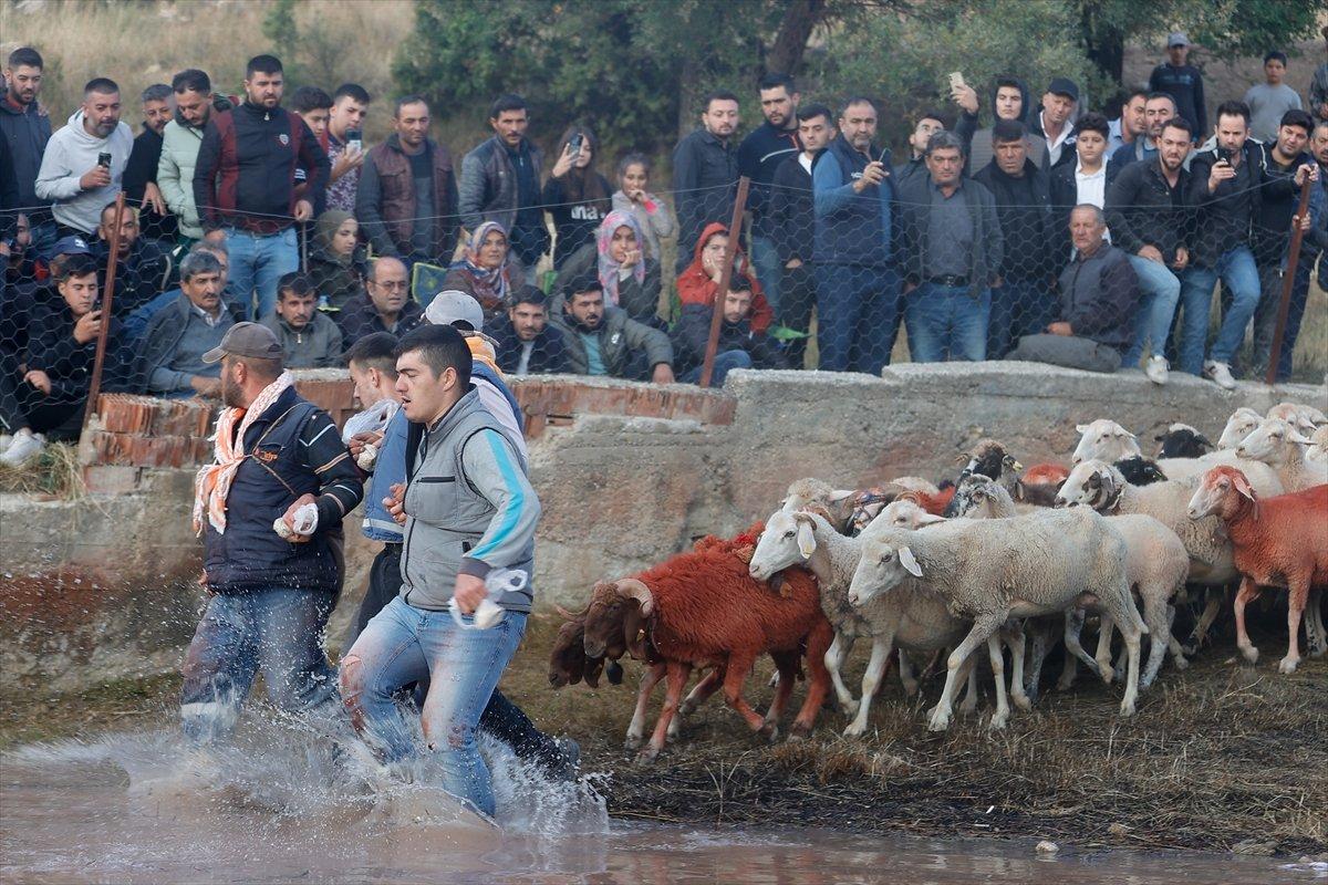 Burdur'da sudan koyun geçirme yarışması