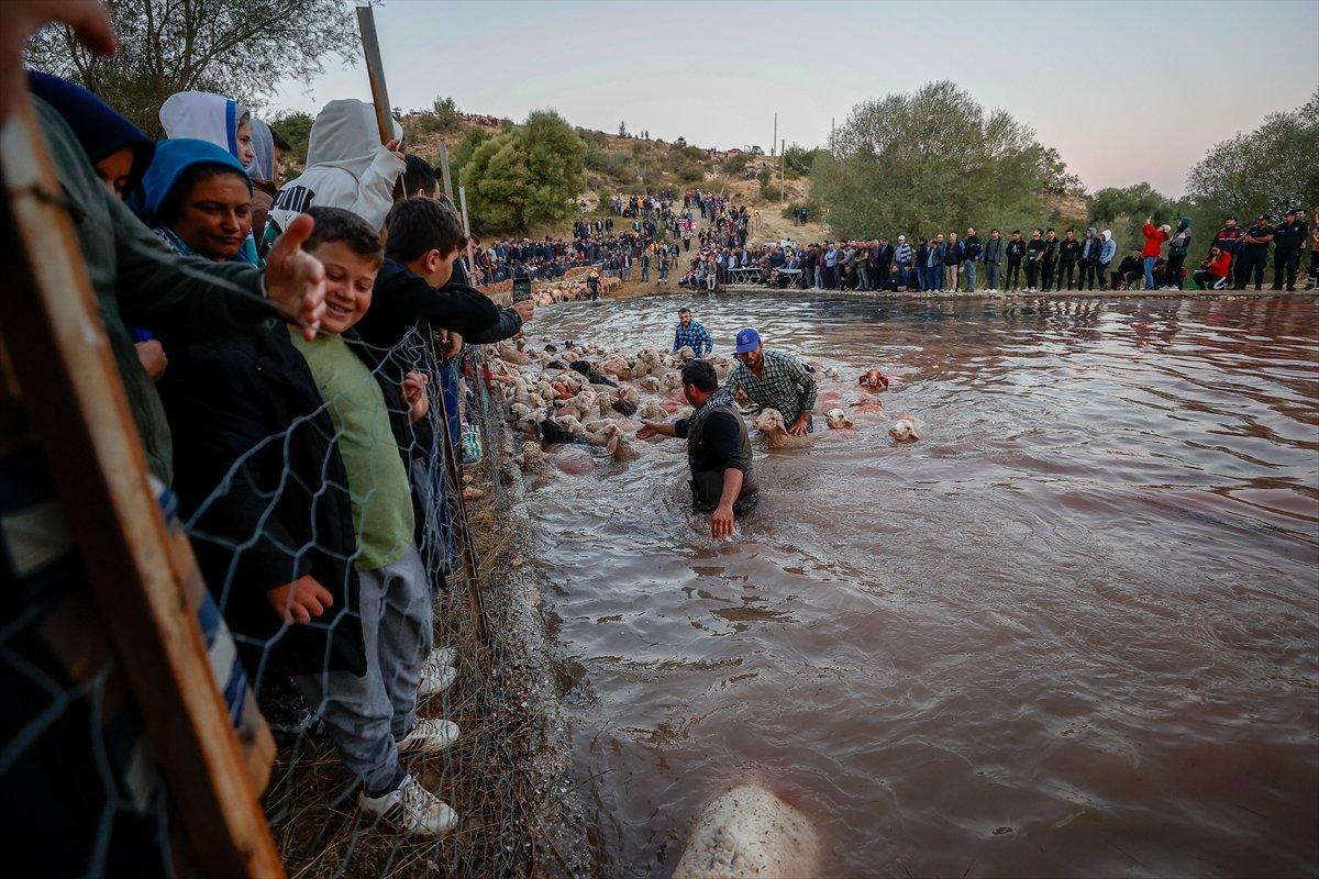 Burdur'da sudan koyun geçirme yarışması