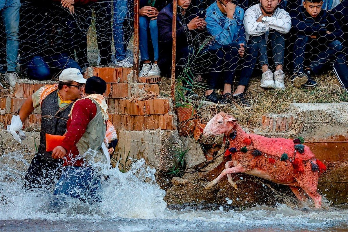Burdur'da sudan koyun geçirme yarışması